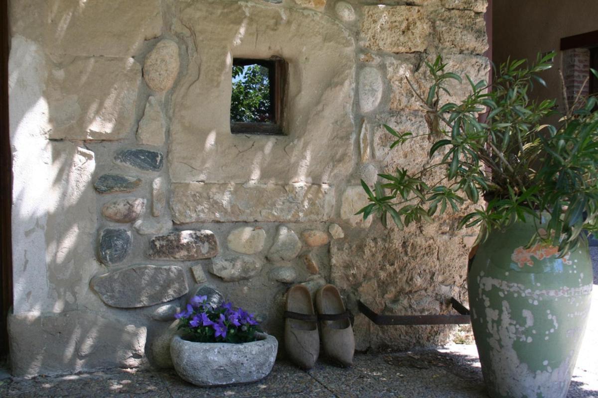 Bed and Breakfast Les Pascals Saint-Paul-lès-Romans Zewnętrze zdjęcie