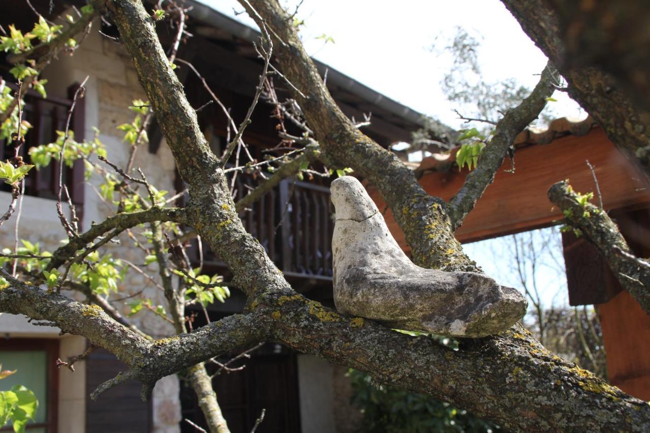 Bed and Breakfast Les Pascals Saint-Paul-lès-Romans Zewnętrze zdjęcie